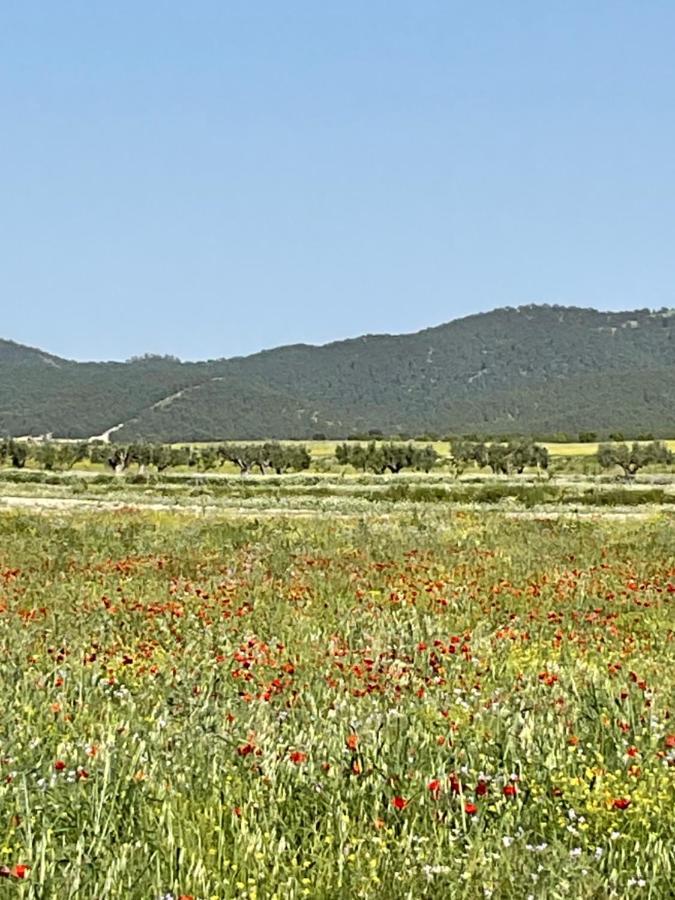 La Antigua Casa Del Astronomo Casa Rural 리코테 외부 사진