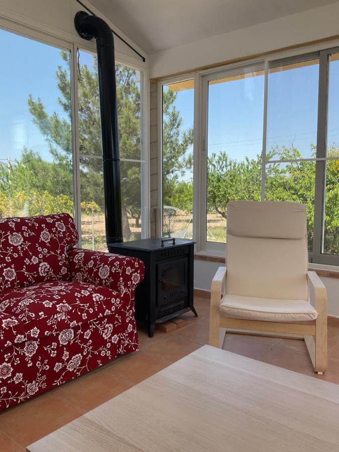 La Antigua Casa Del Astronomo Casa Rural 리코테 외부 사진