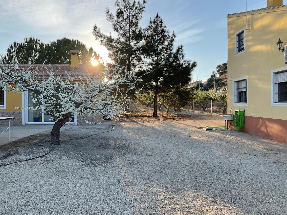 La Antigua Casa Del Astronomo Casa Rural 리코테 외부 사진